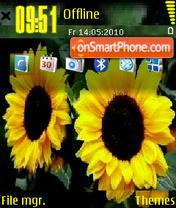 Sunflower es el tema de pantalla
