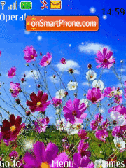 Flores lindas theme screenshot