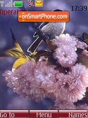 Capture d'écran Birds and flowers thème