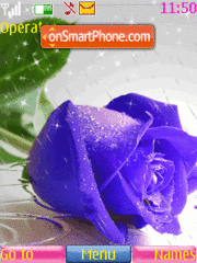 Animated blue rose Theme-Screenshot