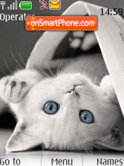 White cats theme screenshot