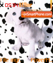 Cute Dog 04 theme screenshot