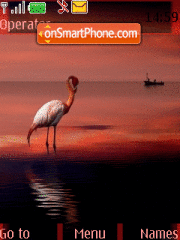 Capture d'écran Flamingo thème
