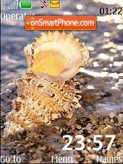 Seashells 24 picture theme screenshot