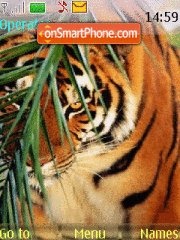 Tiger es el tema de pantalla