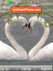 Swan love - anim tema screenshot