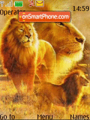 The Lion King 01 es el tema de pantalla