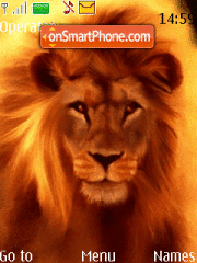 Lion King 06 es el tema de pantalla
