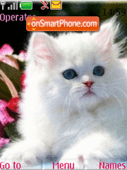 White cat tema screenshot