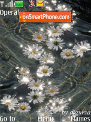 Flowers on water by djgurza theme screenshot