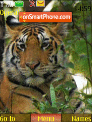 Capture d'écran Tigra thème