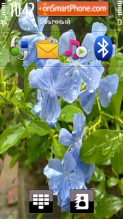 Скриншот темы Blue Flowers