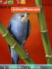 Parrot m tema screenshot