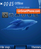 Dolphins 07 theme screenshot
