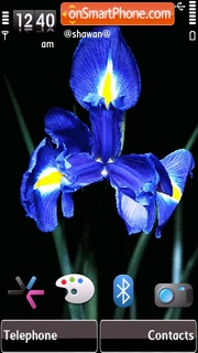 Blue flower by Shawan es el tema de pantalla