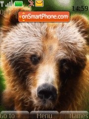 Capture d'écran Grizzly Bear thème
