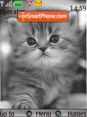 Grey Kitty Cat tema screenshot