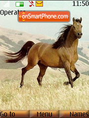 Capture d'écran Brown Horse thème