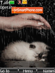 Cat rain animated tema screenshot