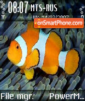 Fish theme screenshot