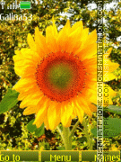 Sunflower anim tema screenshot