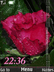 rose slide clock theme screenshot