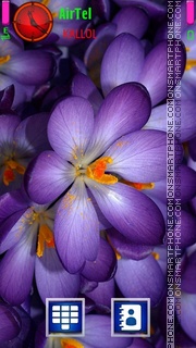 Capture d'écran Blue Flower V2 thème
