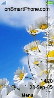 Spring Daisies tema screenshot