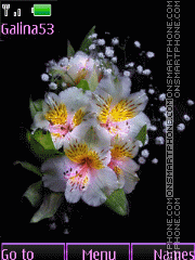 Capture d'écran Nice flowers anim thème