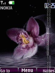 Abstr flower anim Theme-Screenshot