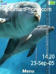 Dolphins 08 theme screenshot