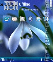 Blue flower 04 tema screenshot