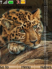 Capture d'écran Leopard thème