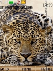Leopard Theme-Screenshot
