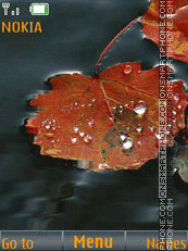 leaves in water theme screenshot
