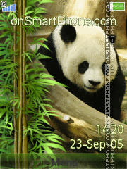 Panda Animated 01 tema screenshot
