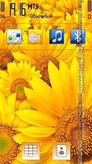Sun Flower 01 Theme-Screenshot
