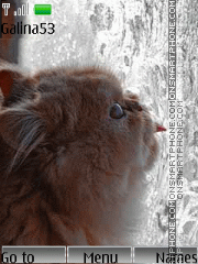 Скриншот темы Cat in the window animation