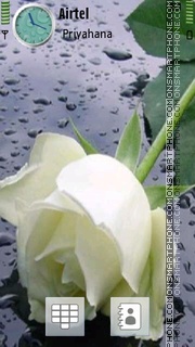 White Rose 03 tema screenshot