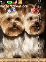 Capture d'écran Couple Dogs thème