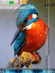 Capture d'écran Kingfisher thème