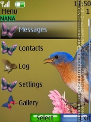 Blue Bird Clock theme screenshot