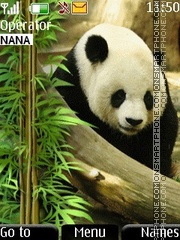 Panda es el tema de pantalla