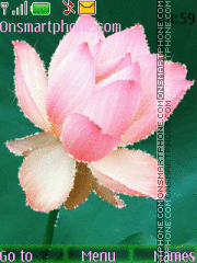 Capture d'écran Lotus thème
