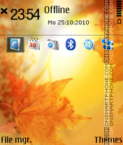 Autumn Leaves 03 es el tema de pantalla