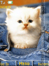 Kitten and jeans Theme-Screenshot
