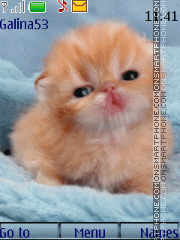 Red kitten anim theme screenshot