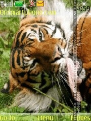 Tiger in grass theme screenshot