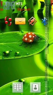 Lady Bug 03 tema screenshot
