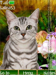 Скриншот темы Cat $ flowers anim